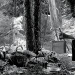 The Artist and the Model