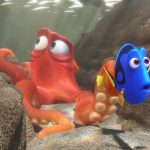 Finding Dory